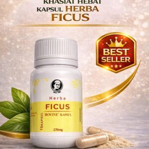KAPSUL FICUS HPA
